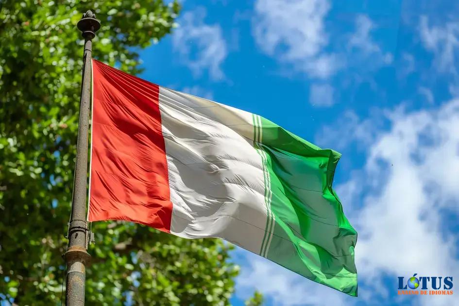 Investindo no Futuro: Por que Escolher Aulas Particulares de Italiano